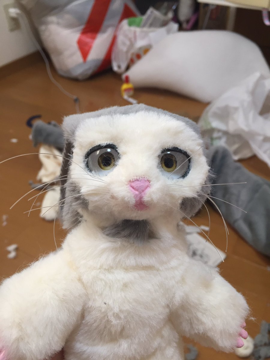ぬいたち 着ぐ作り方本販売中 あへ 頭の形取るの大変だった 今のところインカラマッの頭の次くらいに大変 でもいよいよラストスパート とりあえずはよ部屋掃除したい アートドール アートドール制作 ぬいぐるみ ぬいぐるみ制作 擬獣化 ぬいたち 着ぐ作り方本販売中 あへ 頭の形取るの大変だった 今のところインカラマッの頭の次くらいに大変 でもいよいよラストスパート とりあえずはよ部屋掃除したい アートドール アートドール制作 ぬいぐるみ ぬいぐるみ制作 擬獣化