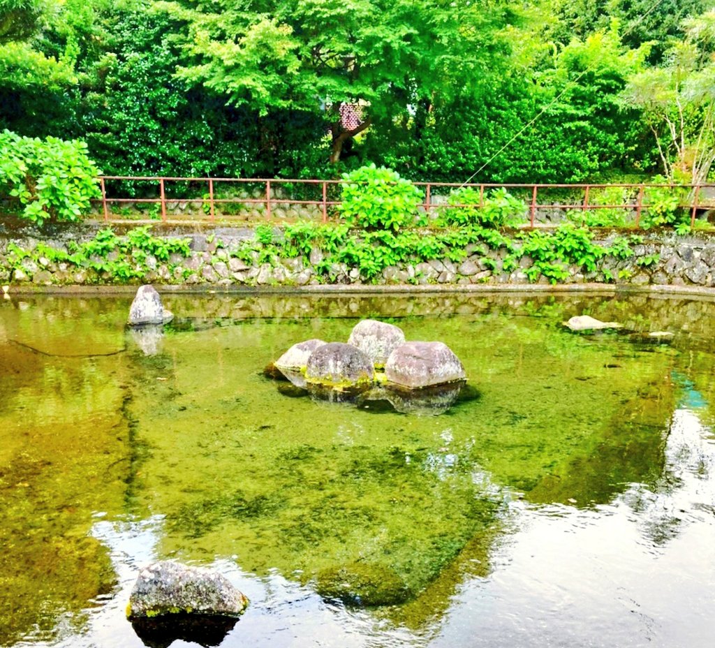 𝙽𝚊𝚝𝚜𝚞𝚔𝚒 Twitterren S ᴜ ᴍ ᴍ ᴇ ʀ 毎日めちゃくちゃ暑いー 地元で見付けたプチ癒されスポット 夏休み 帰省 地元散策 清左衛門地獄 清左衛門地獄池 平成の名水百選 幸運の滝 箱根ジオパーク 湧水 水が綺麗 滝女子 滝巡り マイナスイオン 𝙽𝚊𝚝𝚜𝚞𝚔𝚒 Twitterren S ᴜ ᴍ ᴍ ᴇ ʀ 毎日めちゃくちゃ暑いー 地元で見付けたプチ癒されスポット 夏休み 帰省 地元散策 清左衛門地獄 清左衛門地獄池 平成の名水百選 幸運の滝 箱根ジオパーク 湧水 水が綺麗 滝女子 滝巡り マイナスイオン