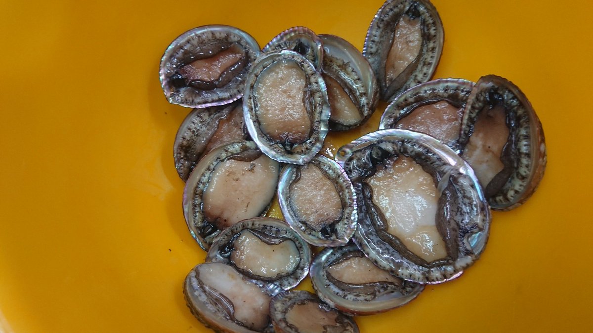 西伊豆マリン海 西伊豆マリン海
