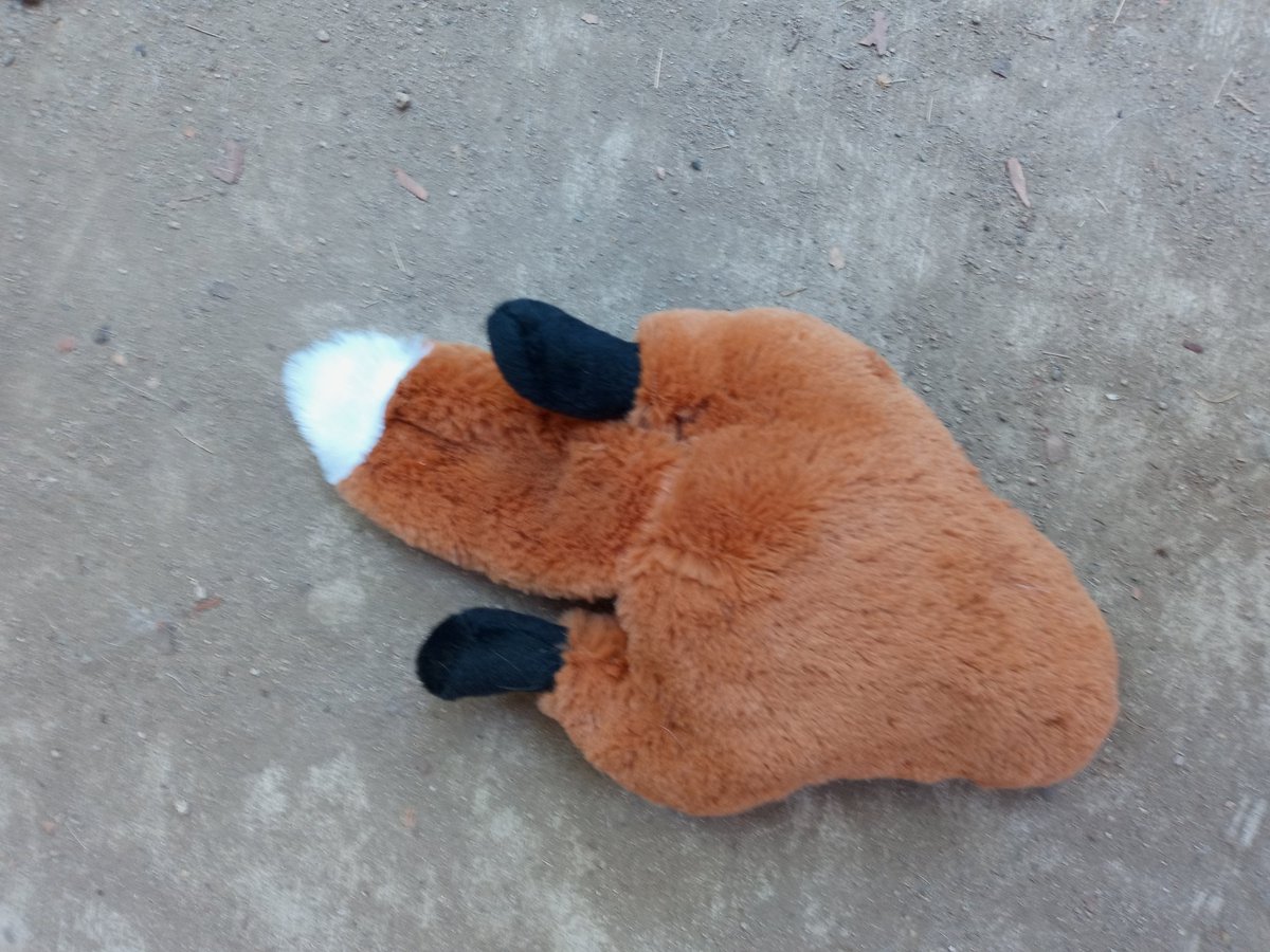 thehuskyjezebel's tweet photo. New toy thank god time to rip this one apart https://t.co/atbiPjx7Ek
#dogs #dogsoftwitter #DogLover #doglife #dogtoy #playtime #squirrel #fetch #husky #huskysoftwitter #playwitme #doggydogworld https://t.co/ZkopZDqPHM