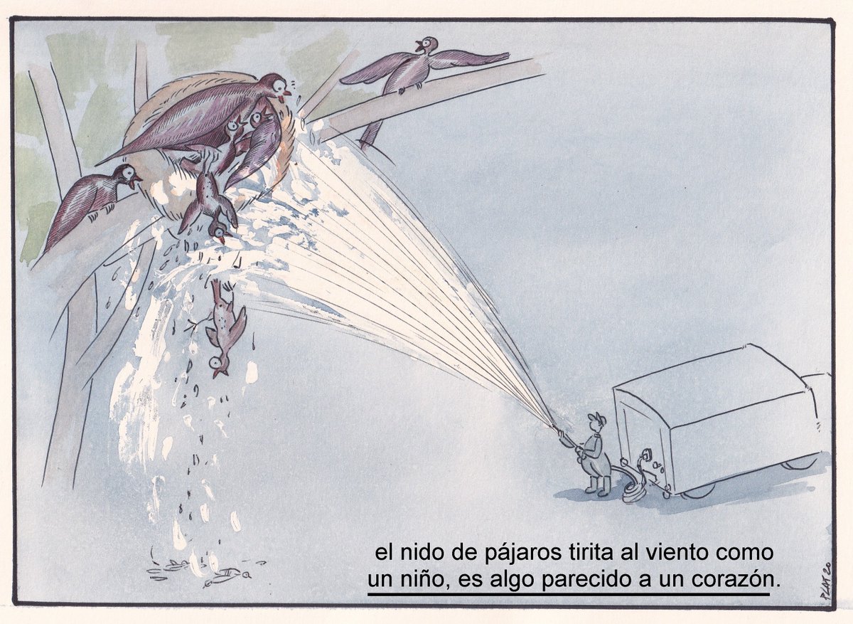 pacocatt's tweet photo. Mi viñeta de hoy sábado 15 de agosto de 2020.
Denuncian la destrucción de nidos de pájaros en Tenerife.

Animalistas graban y denuncian públicamente al servicio de limpieza del Ayuntamiento de Santa Cruz.
Fuente: CANARIAS7 Las Palmas de Gran Canaria. https://t.co/S0VmLRCBOY