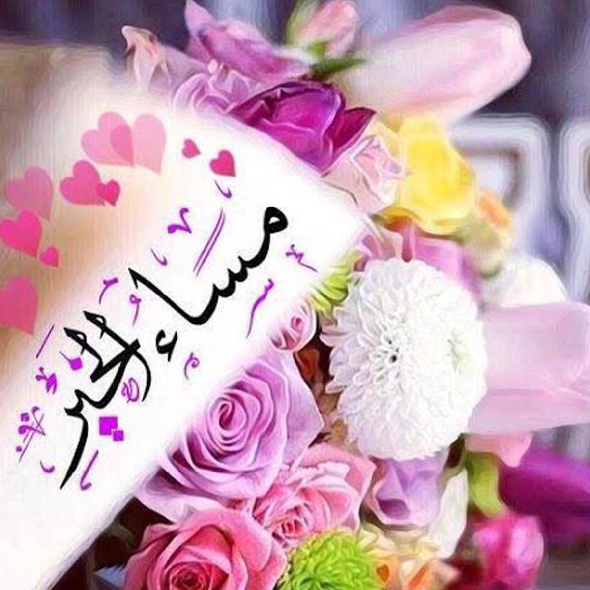 fato74569552's tweet photo. مساء الخير https://t.co/QAZVBMg92y