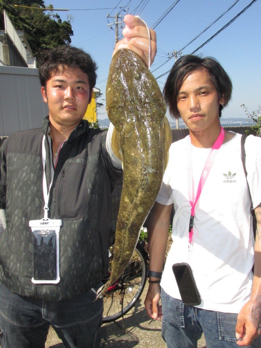 O Xrhsths つりの浜浦 Sto Twitter 前回アジが釣れたんで今回はそれを釣ってえさにしました スズキはアジでマゴチはメゴチでショゴはハゼで釣れましたよ とのことで多彩な活餌で多彩な釣果はさすがですね 大物大漁おめでとうございます