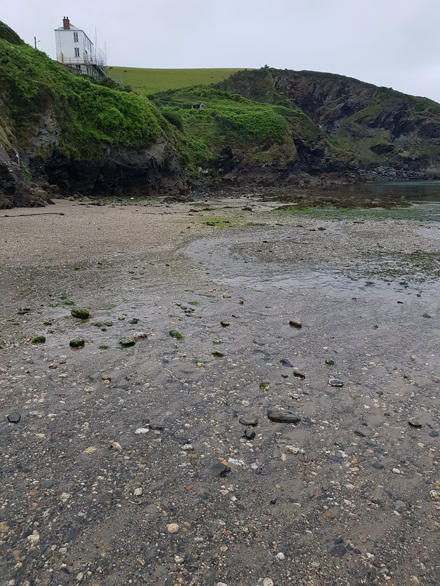 Jason Polson tweet media