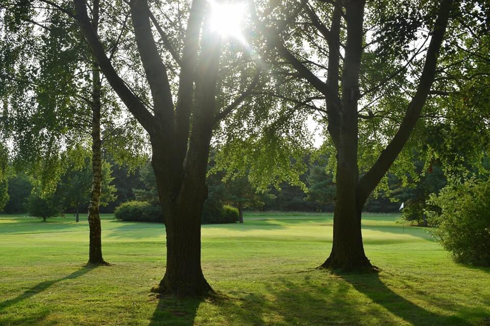 ScarthingwellGC tweet media