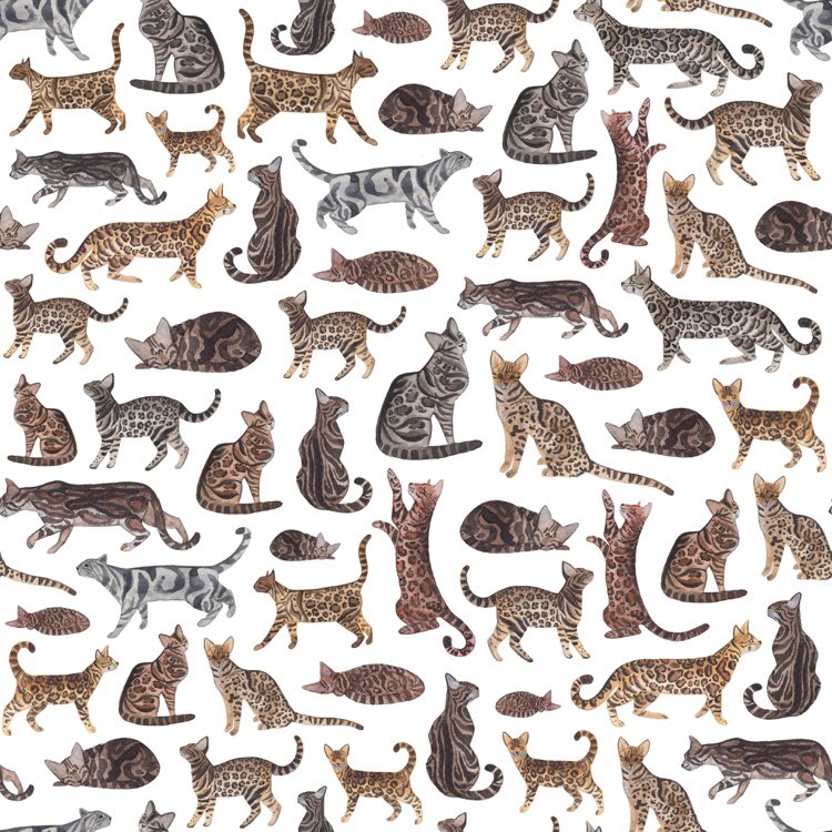 Rebridled's tweet photo. New #bengalcat pattern fabric #facemask #pencilcase #purselining 
 
https://t.co/rDOQTRXe4k

#catfacemasks #designerfacemasks 
#bengalkittens #bengalkitten #Bengals #bengalcats #cats #kittens #Caturday #bengallove #UKGiftHour #ukgiftam #giftideas #shopindie #saturdaymorning https://t.co/QiLXOMsJE4