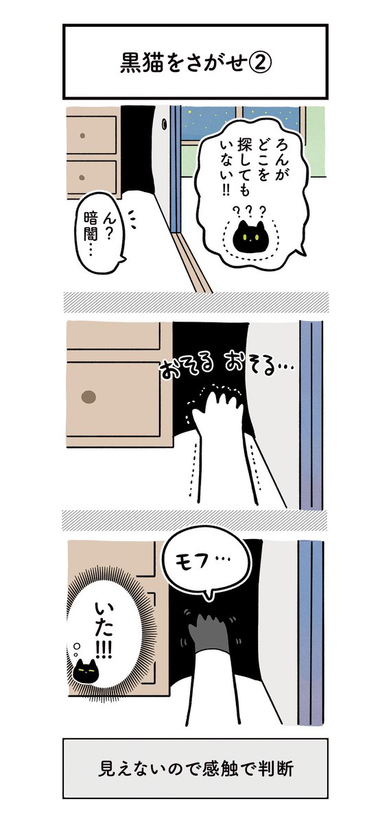 夜に黒猫を探すのは至難の業やねという絵日記
#ろんの絵日記 