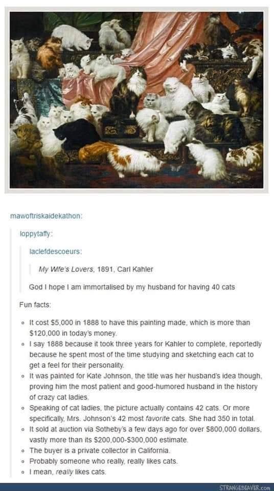 kimmwatt's tweet photo. I really feel I'm falling down in my cat lady aspirations. Do you have pet portraits, lovely people? Even if they're not as elaborate as this? Let me know - or share a photo - below!

#catsoftwitter #catladygoals https://t.co/EFQ8yCcJ4V