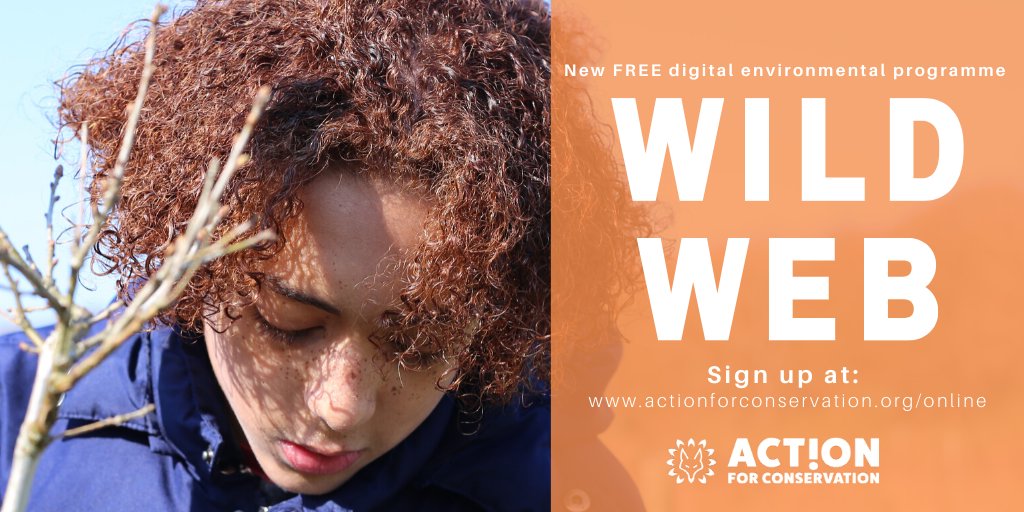 ActionFunder's tweet photo. The lovely folks at @Action4Conserv have an amazing opportunity for 13-17 year-olds, a brand new #FREE digital environment programme #WildWEB 🌿🌊

🐞 Check out it out &amp; sign up today!!

👇
https://t.co/QbnT3xAZWd https://t.co/8yeYmV7c6r