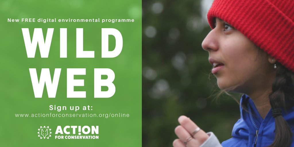 BackyardNatUK's tweet photo. Our friends at @Action4Conserv have an amazing opportunity for 13-17 year-olds, a brand new #FREE digital environment programme #WildWEB 🌿🌊

��� Check out it out &amp; sign up today > https://t.co/GTIeVQbFjA https://t.co/7hvMKqValz