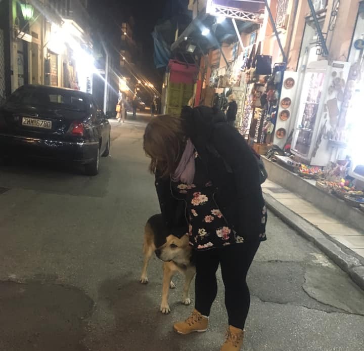 TheCatsSister's tweet photo. Our inner monologue... 'can I pet that dawg?'

https://t.co/5n6y0Nke7l https://t.co/VvZMz7EgH7