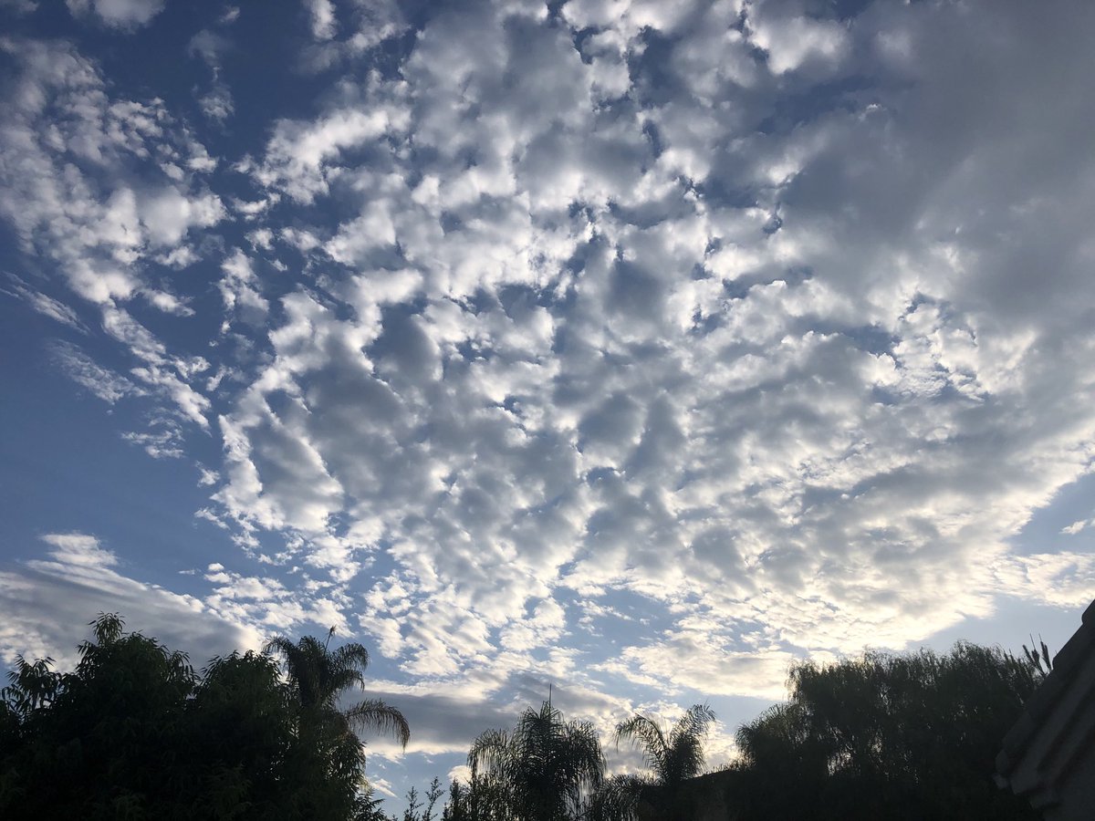 Robert Krier tweet media