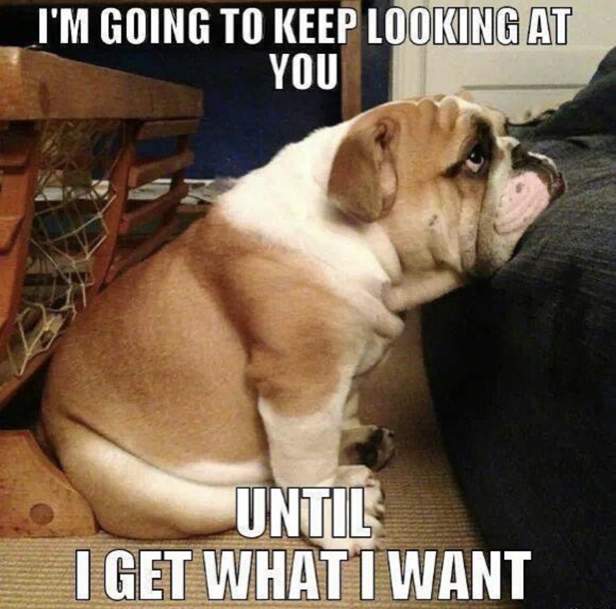 How your girl looks at you when she said she didn’t want fries but you’re eating fries... 🥺🍟