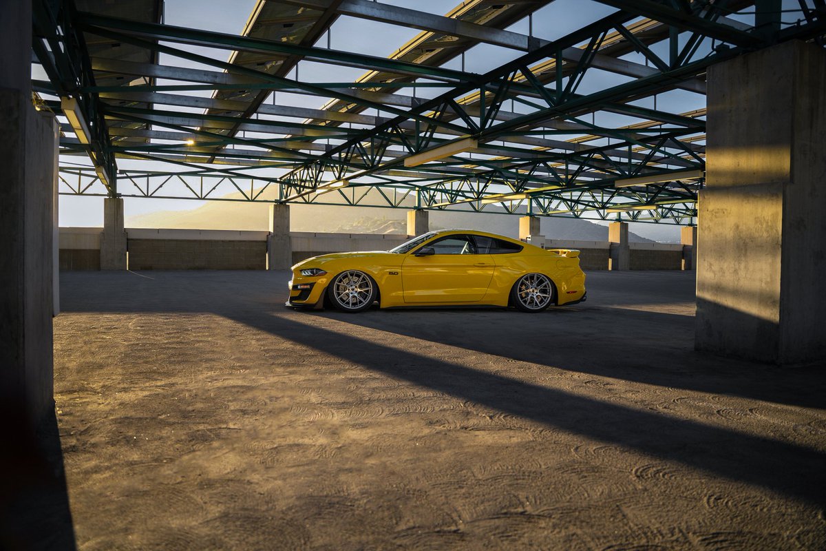 Brian_Chavoya's tweet image. Canvas worthy or Naahhh??