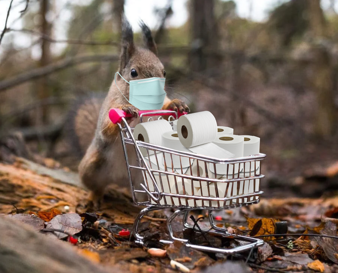 The poor plague squirrels only got one day of news coverage. I demand justice!