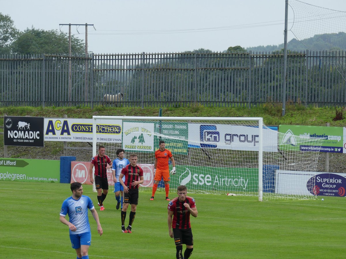 the54crew's tweet photo. The @sheepofdonegal are getting involved.

@FinnHarpsFC https://t.co/nAGjtmjwYa