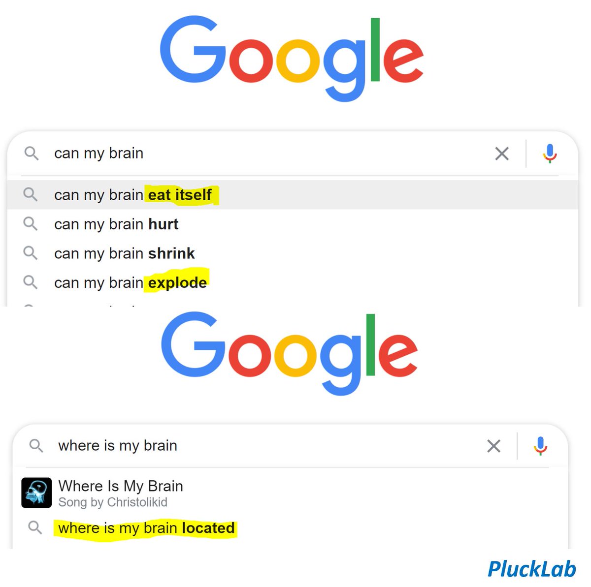 DrGPluck's tweet photo. Google queries about brains. 

#neurohumor
#biologyjokes
#biologyjoke
#psychologyhumor
#psychologyhumour
#psychologyjokes
#neurojokes
#biologyhumor
#brain
#peopleareidiots
#neuroscience
#neuropsychology
#brainscience https://t.co/AymZzVxdUe