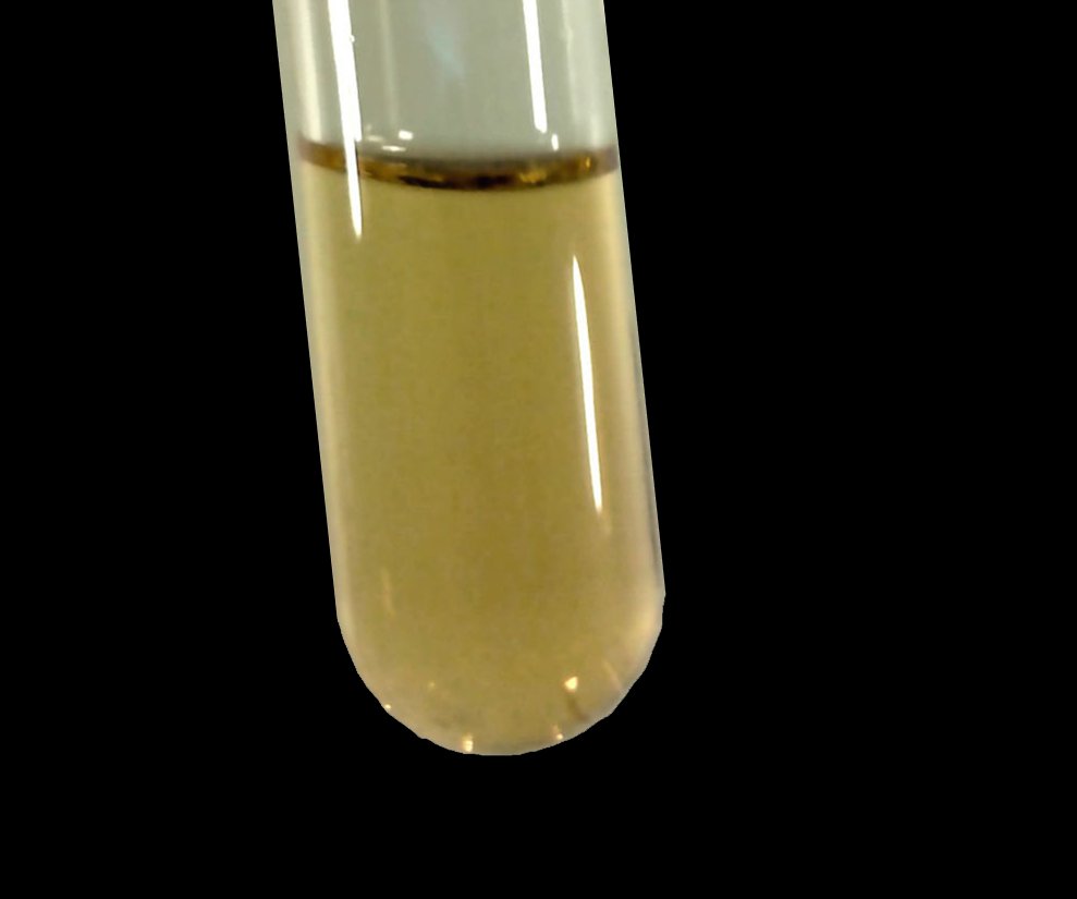 Chlorine Trifluoride Spill