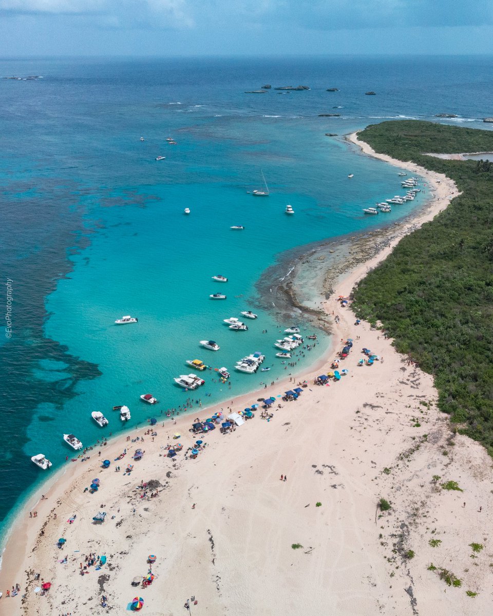 VicTorManuel29's tweet photo. 🏝️ Icaco, Fajardo
#PuertoRico #Fajardo #dji 
Instagram: https://t.co/gOWgCx6arr https://t.co/MFD2HdNVyA