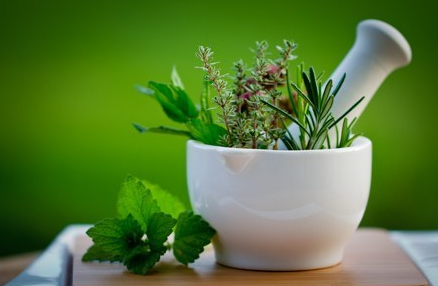 Tradmedtalks's tweet photo. #Herbal #medicines such as licorice, Indian rennet and opium poppy are at risk of contamination with toxic mold, according to a new study it time for regulators to control mold #contamination, increasing popularity of herbal medicine, the sale of #medicinal plants is unregulated https://t.co/G7ZNs1dZ3I