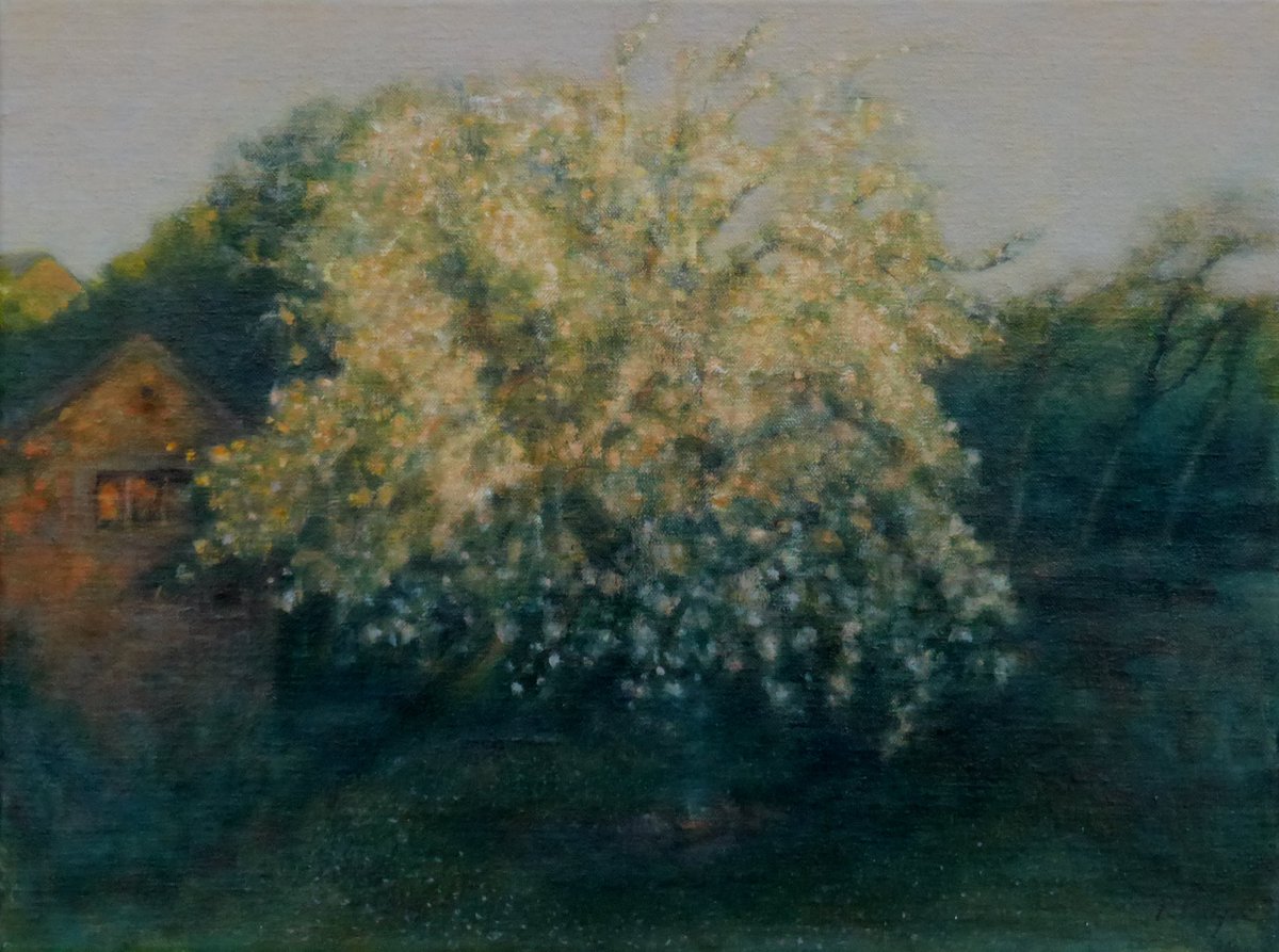 `Old Apple Tree` by Rebecca Payn <a href="/RSPayn/">Rebecca Payn</a> will be one of the new works of art in the Lake Artists Society members exhibition at the Old Courthouse Gallery @ocgarts #Ambleside 22 Aug - 5 Sept 2020