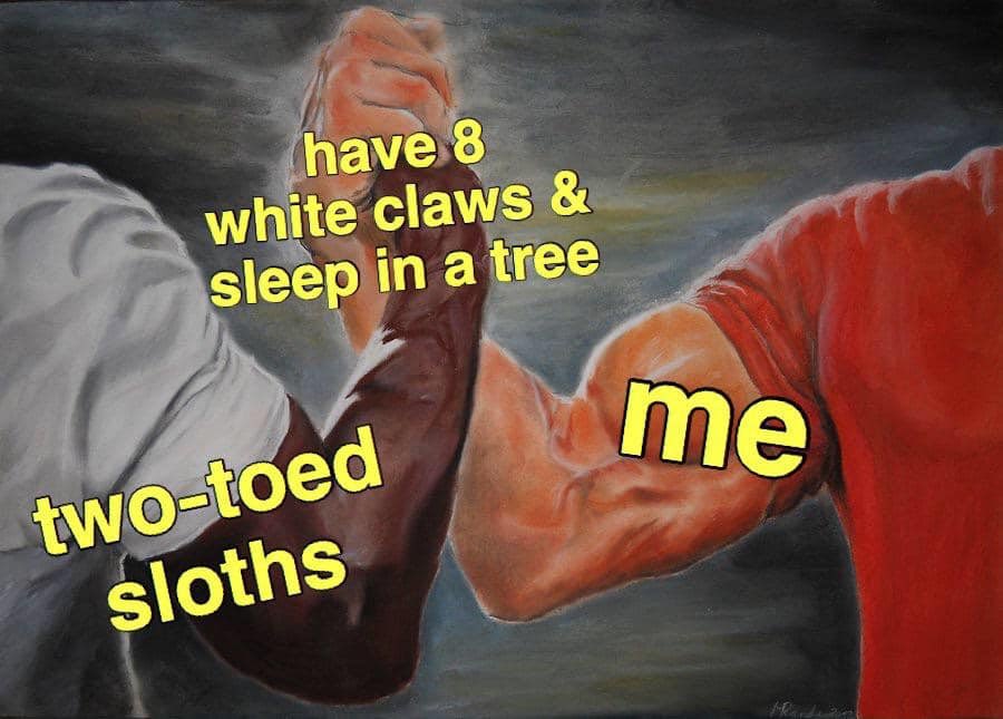 Plans for tonight
