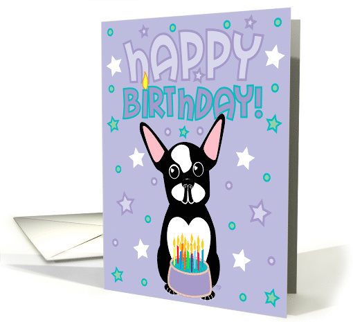 totallypainted's tweet photo. Happy Birthday - Boston Terrier card (224477) https://t.co/msEXgZSa8G 🎂🐶♥️⭐️ https://t.co/X8YT682B8t