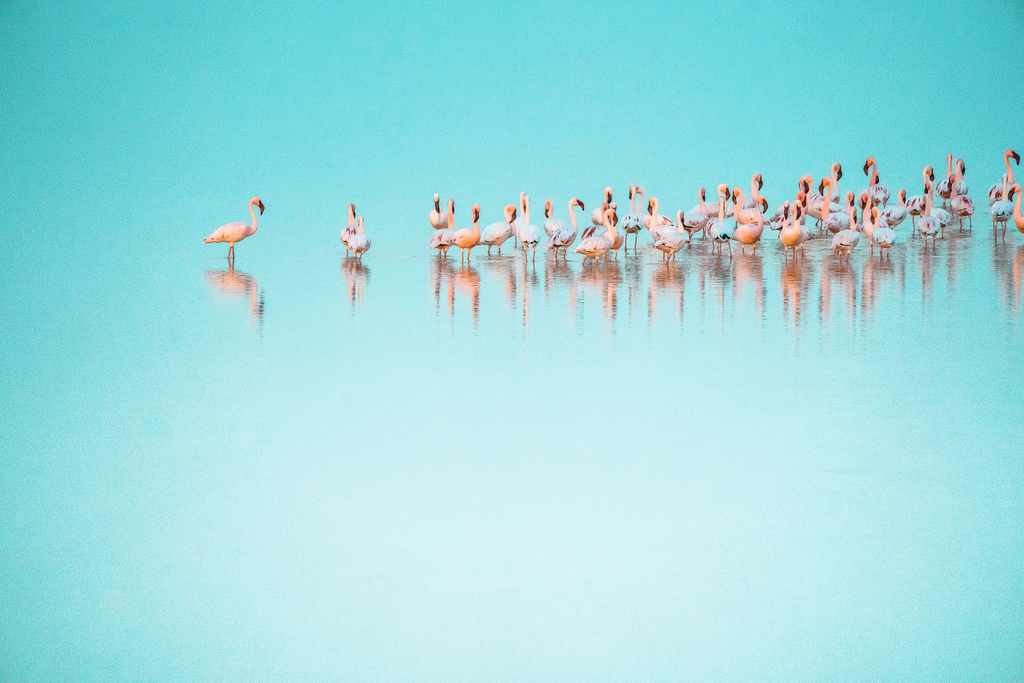 Struggling to get people to hear you?

If you feel like you're doing ALL. THE. THINGS. and still no one is buying, double check your language!

Do your dream clients actually understand what you're saying? Is your sales page full of technical industry jargon?