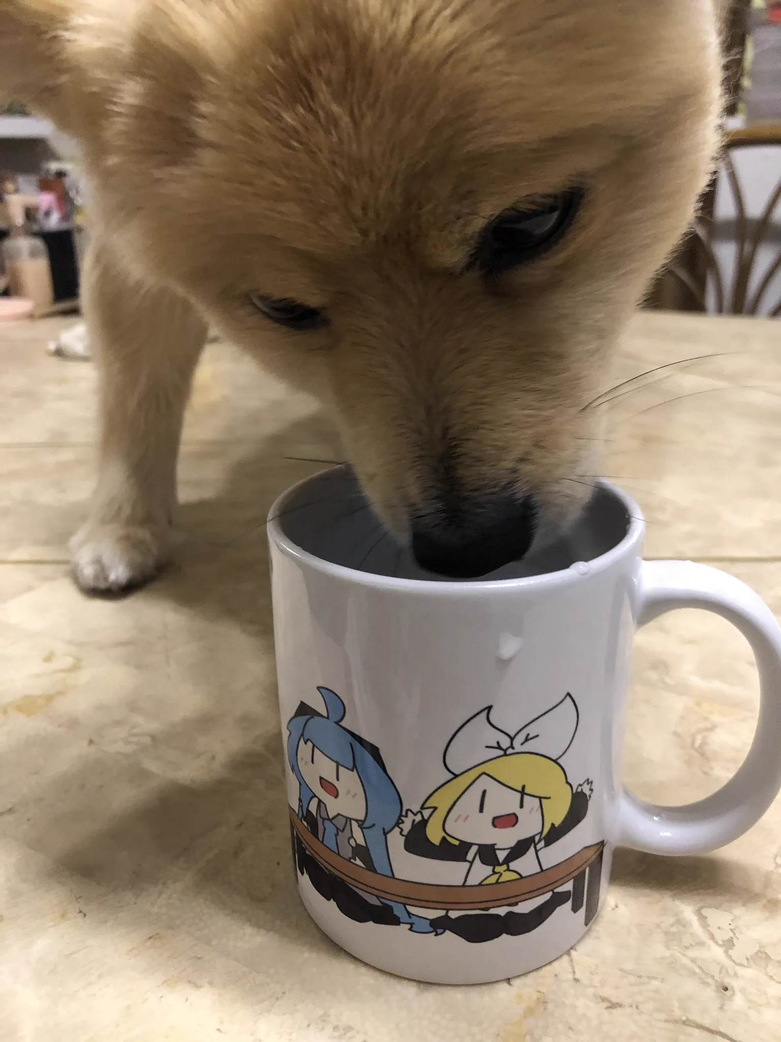 @Ayoster_classic なんででしょうねー(￣▽￣;) 