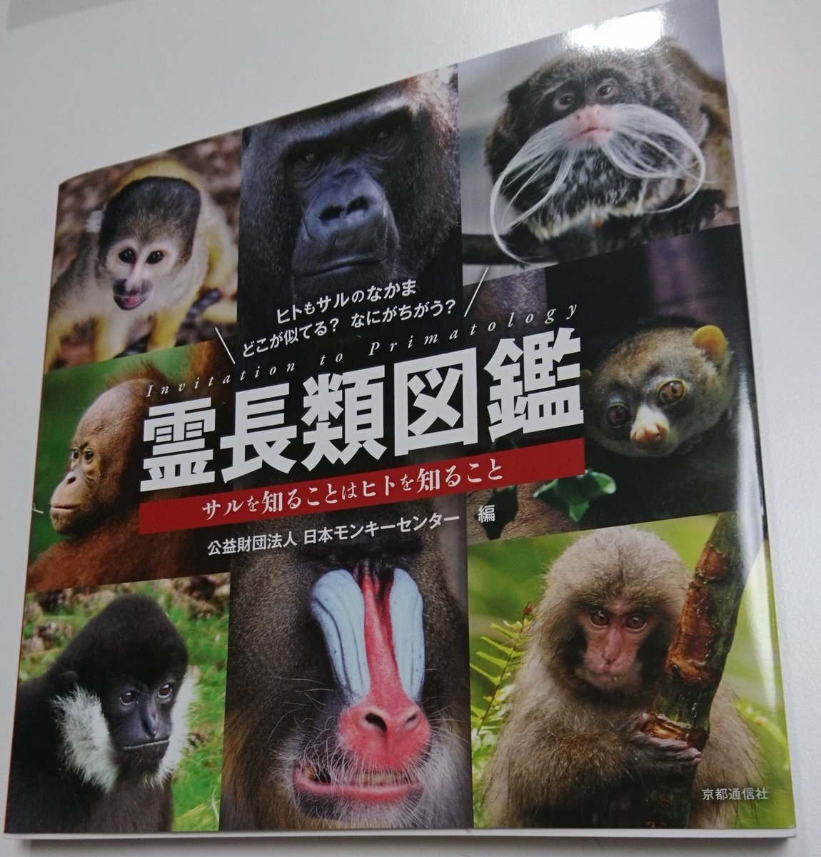ずけもの 霊長類図鑑 日本モンキーセンターが作った サル特化の図鑑 Jmcのサル たちも写真で参加していて Jmcガイドとしても使える 収録サルの種類も多く 習性などの読み物も充実 サルの図鑑としてとても良い一冊 ずけもの 霊長類図鑑 日本モンキーセンターが作った サル特化の図鑑 Jmcのサル たちも写真で参加していて Jmcガイドとしても使える 収録サルの種類も多く 習性などの読み物も充実 サルの図鑑としてとても良い一冊