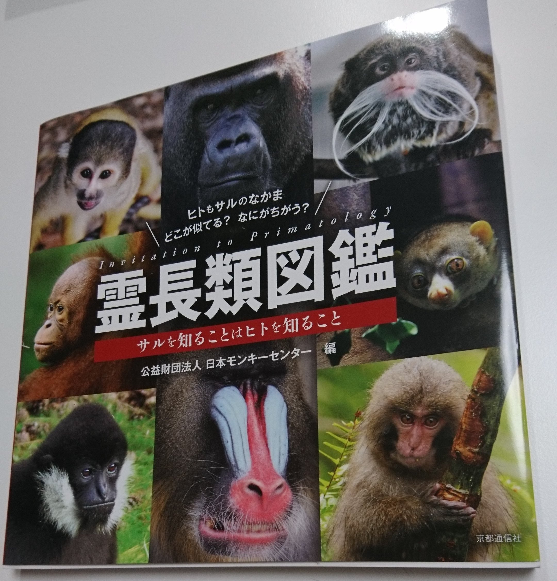 ずけもの 霊長類図鑑 日本モンキーセンターが作った サル特化の図鑑 Jmcのサル たちも写真で参加していて Jmcガイドとしても使える 収録サルの種類も多く 習性などの読み物も充実 サルの図鑑としてとても良い一冊 T Co Tub3hya26z Twitter
