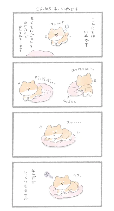 こんにちは、いぬです
#こんにちはいぬ 