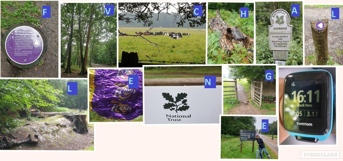 FVChallengeWKD's tweet photo. Well done Monica. Another clever presentation of the the photos. #Ashridge is beautiful. 
You didn’t fancy the 18 mile boundary #run? 😂 https://t.co/UnI2Nh6OVN