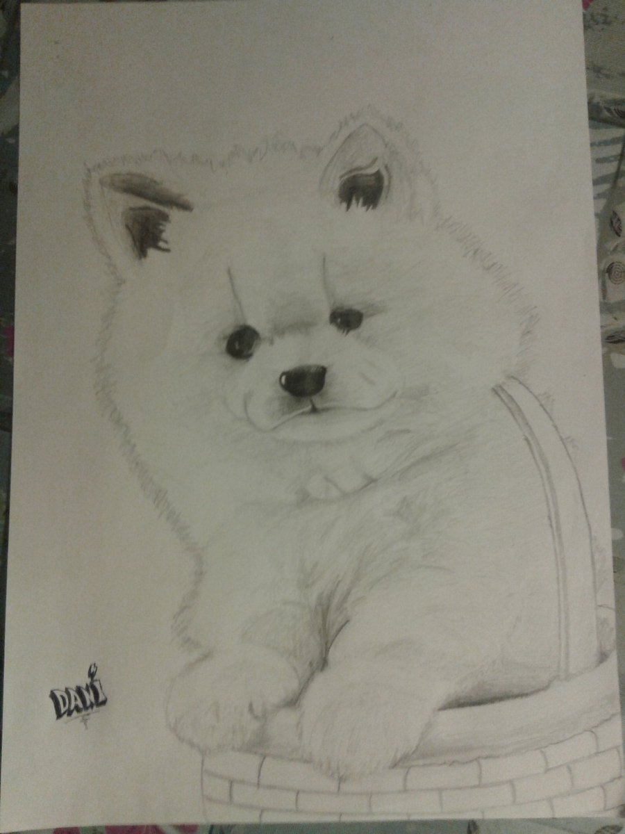 Dani63art's tweet photo. Un husky cachorro por navidad ☃️

#draw #dibujo #backinthepast https://t.co/WyAIqi0IJ7