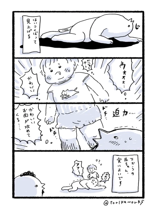 アングル 