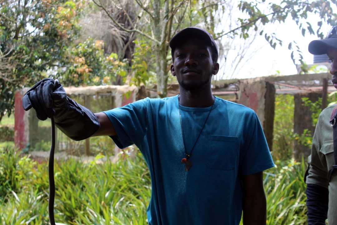 MarvinTheGuide's tweet photo. Welcome to the #SnakeWorld
@UgandaReptileVillage
🐍🐍🐍🐍🐍🐍🐍🐍🐍🐍🐍 https://t.co/MlMMFmkALY