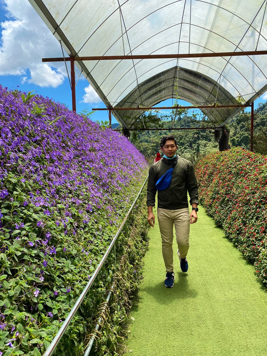 Semoga hidup kita semua dalam kesejahteraan #cameronhighland #lavendergarden