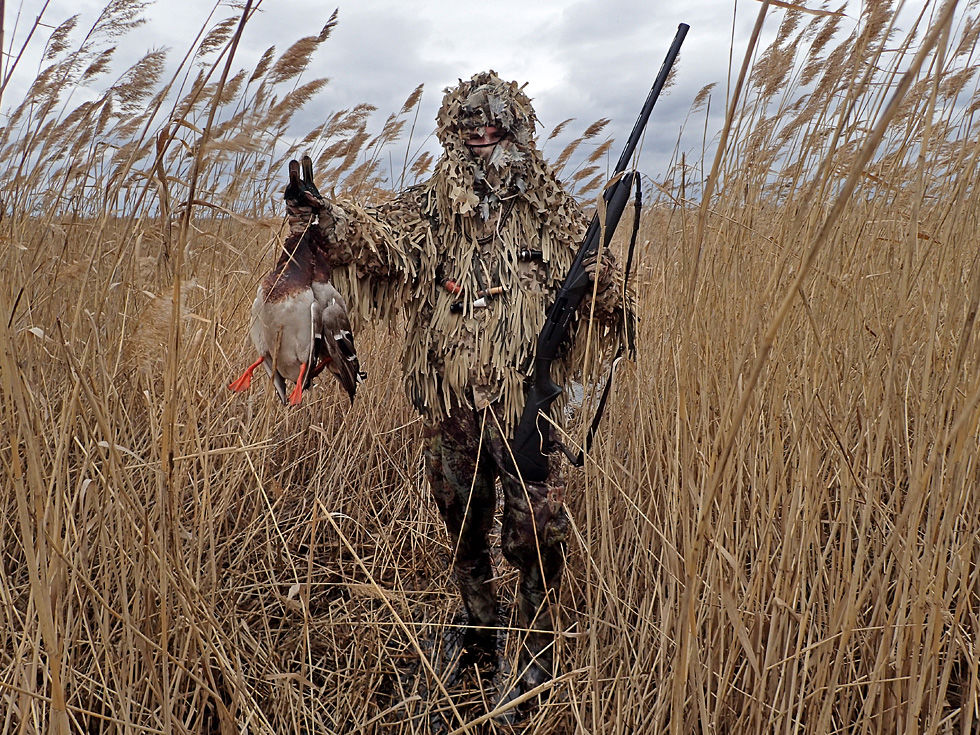Ловчая птица – партнер в охоте