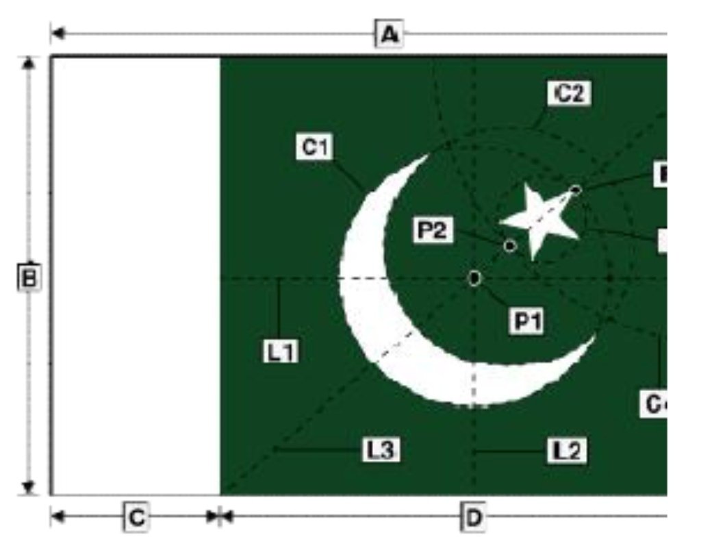 This is Pakistan's flag. And the other photo contains exact specification. If it's a different color, its not a Pakistani flag. If it has no white part, it's not a Pakistani flag. Etc.