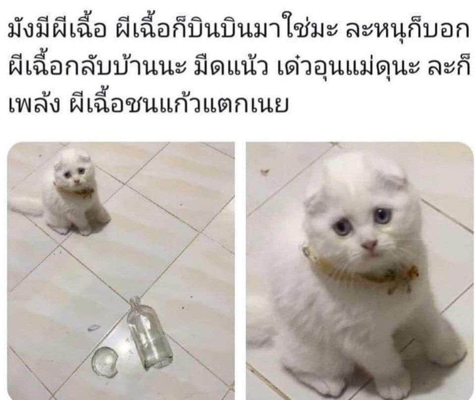 Chanon_OCC's tweet photo. เราไม่ได้ทำแก้วแตก https://t.co/2Z1HhxfzsL