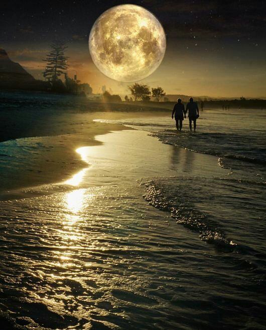 ���� ���� ������ �� ���� ������