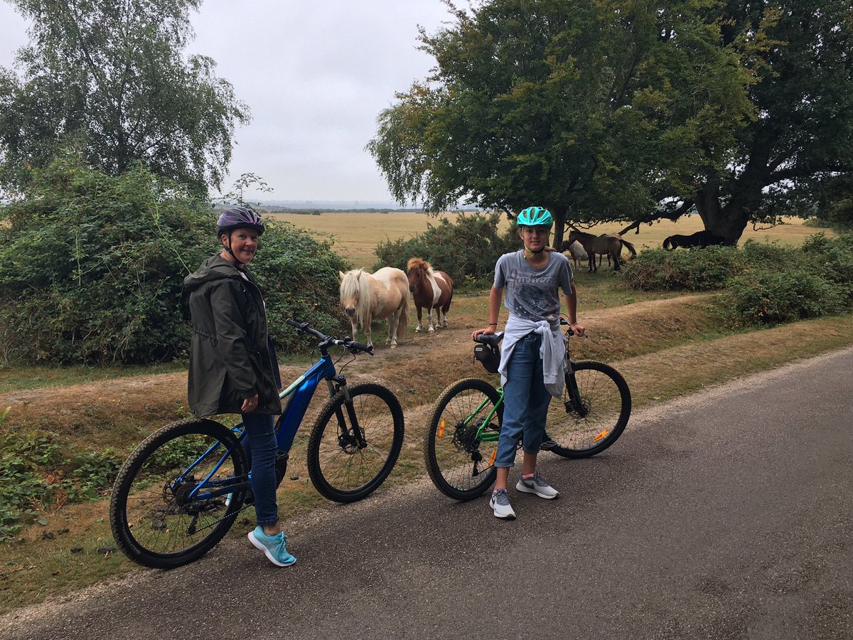 Mark Cummings tweet media