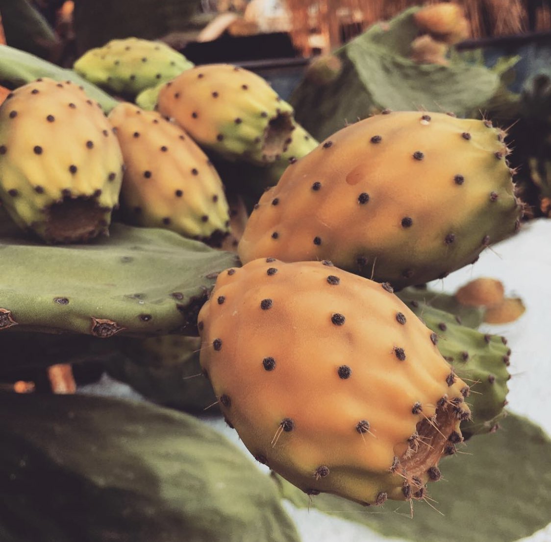 Biz #antalya lılar kürek yemişi deriz ☺️