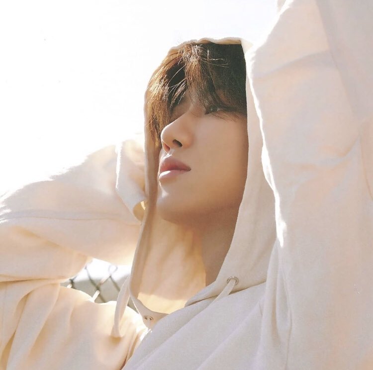nahaogf's tweet photo. he’s the prettiest https://t.co/loIXrGd7TI