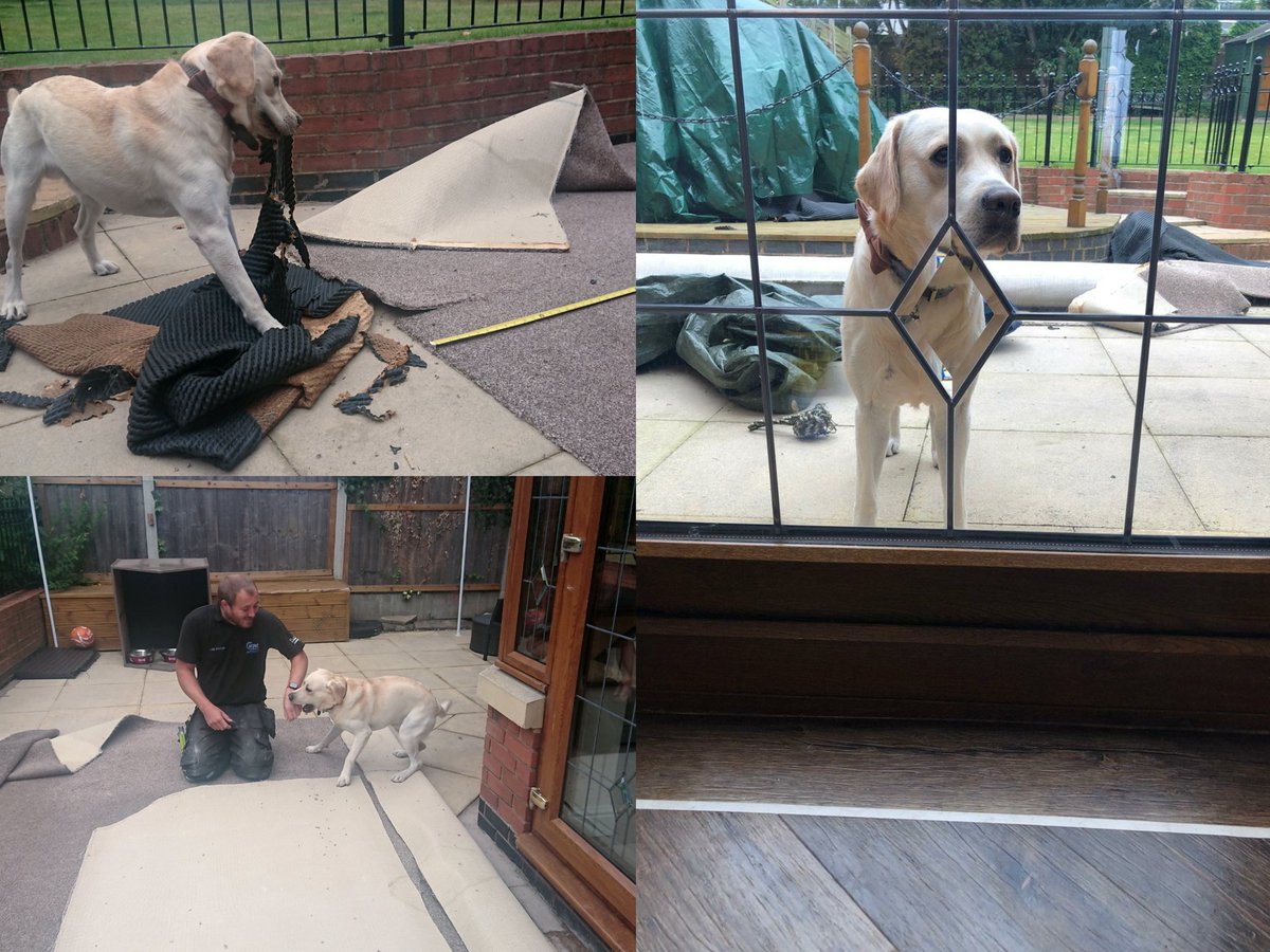 Amtico Form fitted recently carpetstyles.co.uk <a href="/AmticoFlooring/">Amtico</a> <a href="/StairrodsUK/">Stairrods (UK) Ltd</a>