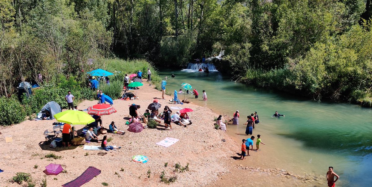 Hace unos años, apenas se bañaban 10 personas.
Hoy, hay más de 100 personas diariamente en cada rincón del Júcar. Sin mascarilla ni distancia. Dejando montones de basura y contaminación acústica.
@EFE_CLM @CHJucar @DGobiernoCLM @clm