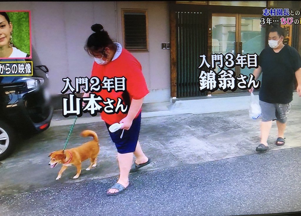 年8月15日 天才 志村どうぶつ園で ちび が話題に 6ページ目 トレンドアットtv 年8月15日 天才 志村どうぶつ園で ちび が話題に 6ページ目 トレンドアットtv