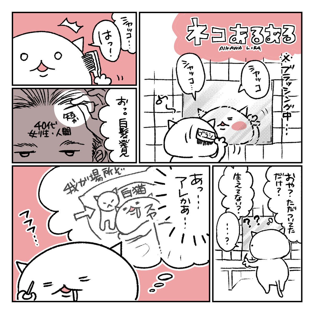 白猫飼ってるとよくある
#代理猫 