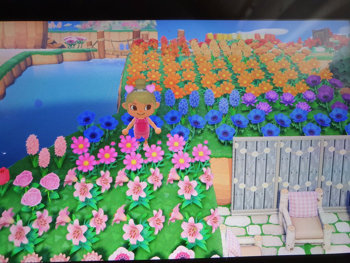 AbleSisModel's tweet photo. *FREE HYBRIDS* DM me if you want any of these today before I sell them 😊
Mums: Green, Purple, Pink
Windflowers: Pink, Purple, Blue
Lilies: Pink, Orange 
Roses: Gold, Pink, Orange
Tulips: Pink, Black
Cosmos: Black, Pink, Orange 
#dodocode #animalcrossingnewhorizons #acnh https://t.co/Sj3ni9VykP
