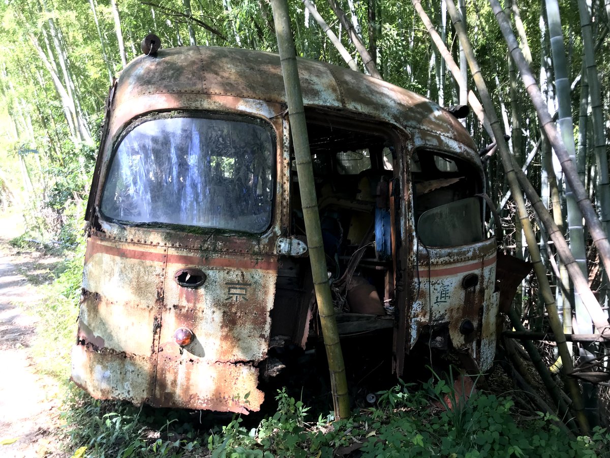 とても古そうなボンネットバスの草ヒロを、偶然発見しました。 自分の